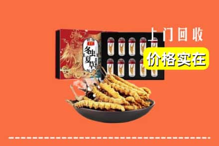 湘西保靖县回收冬虫夏草