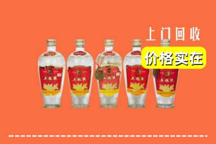 湘西保靖县回收老五粮液